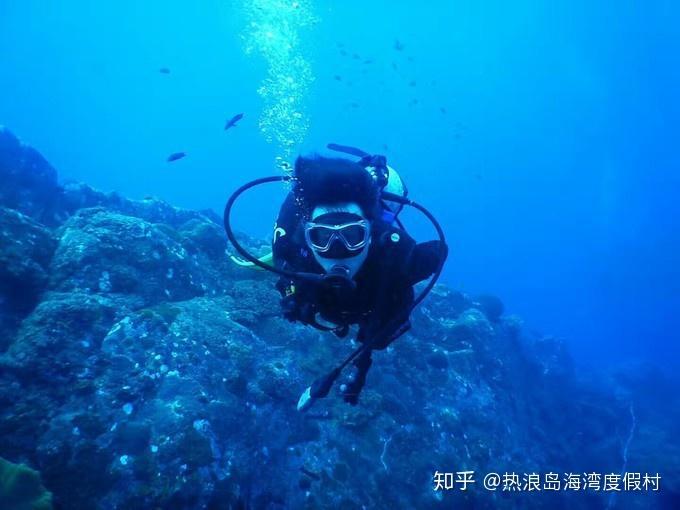 全民烧脑3去广告版